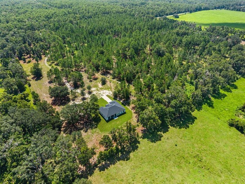Natural landscape and outdoor views near  in Lecanto (Image 57).
