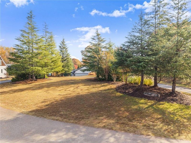 Natural landscape and outdoor views near  in Dahlonega (Image 79).