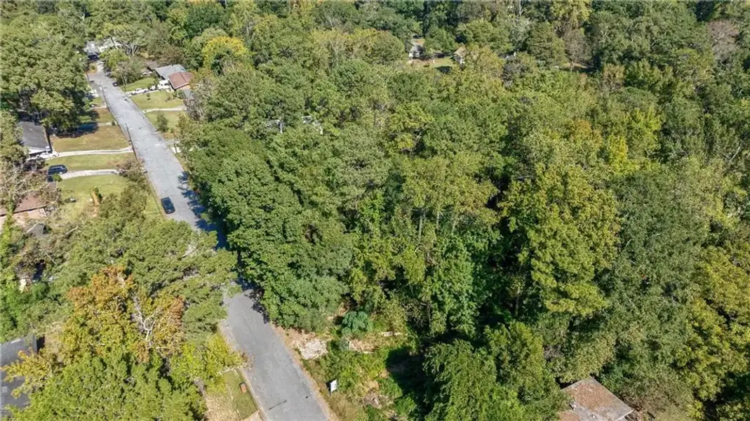 Natural landscape and outdoor views near  in Hapeville (Image 44).