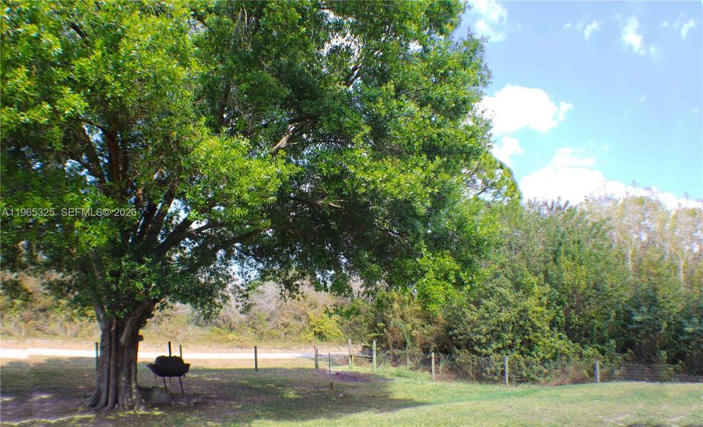 Natural landscape and outdoor views near  in Clewiston (Image 35).