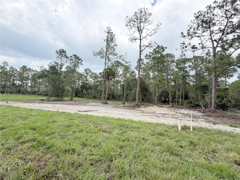 0.50 Acre Lot