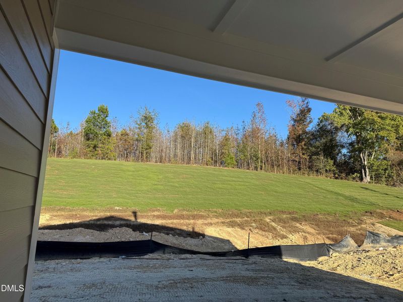 Actual View of Back Yard Actual View of Back Yard