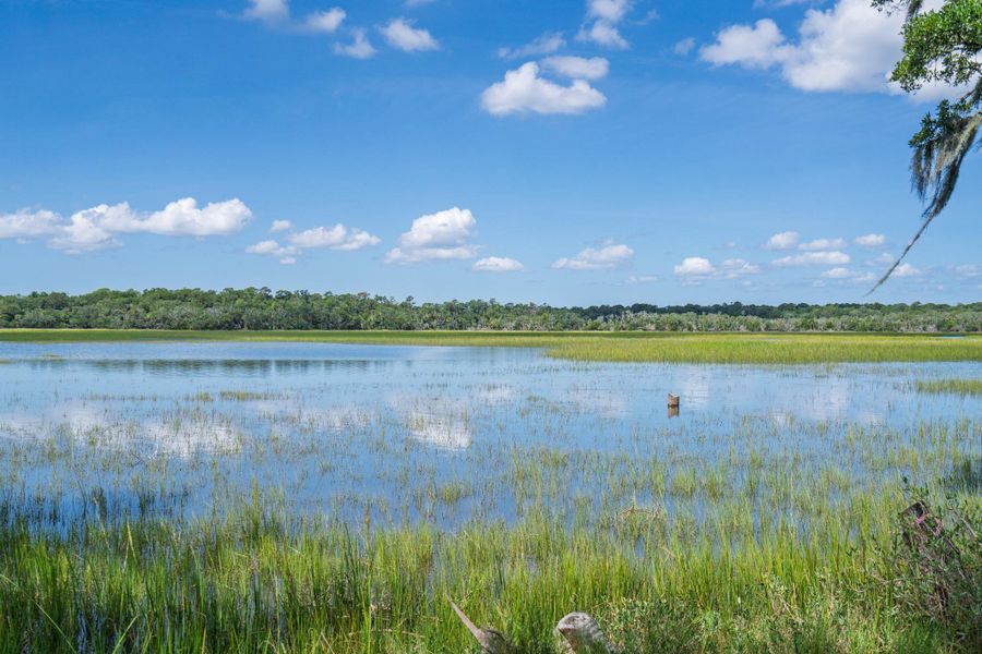 Natural landscape and outdoor views near in Edisto Island (Image 66). Natural landscape and outdoor views near in Edisto Island (Image 66).