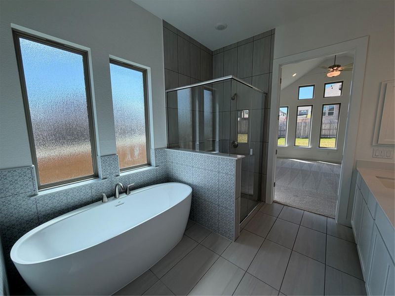 Primary Bath retreat with soaking tub & walk-in shower