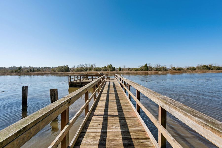 Natural landscape and outdoor views near  in North Charleston (Image 49).