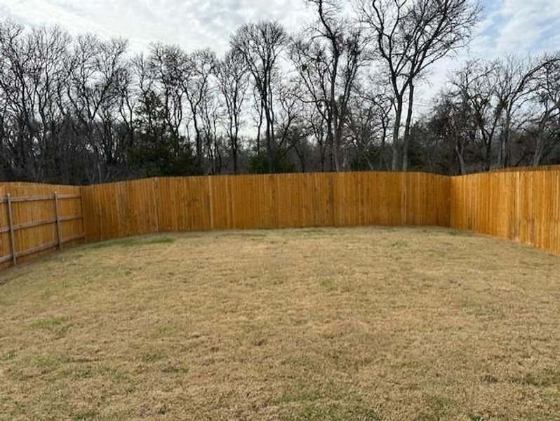 Exterior details and patio area of a home in Trinity Ranch, Elgin (Image 4).