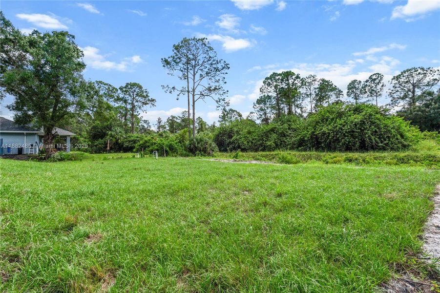 Natural landscape and outdoor views near  in Lehigh Acres (Image 46).