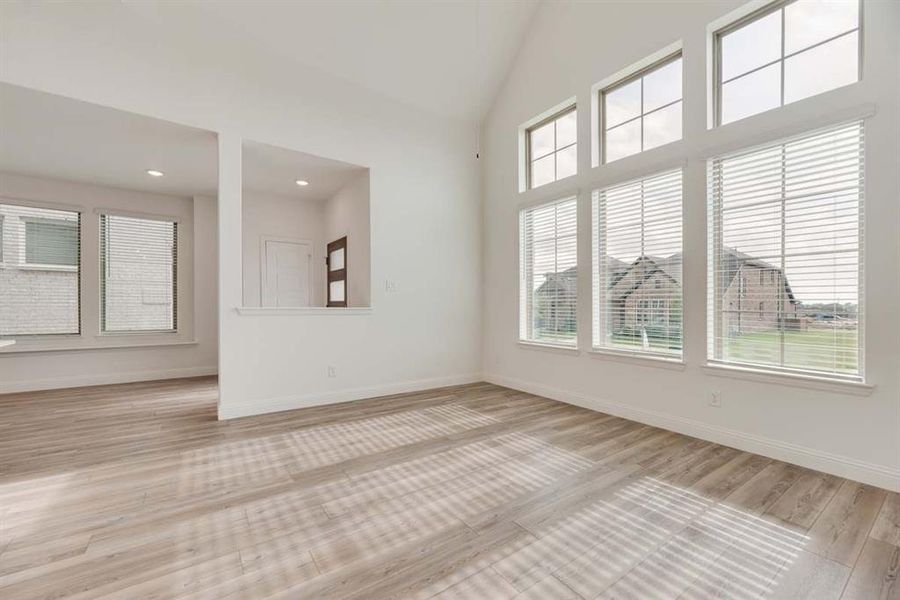 03_Mulberry_Representative Photo