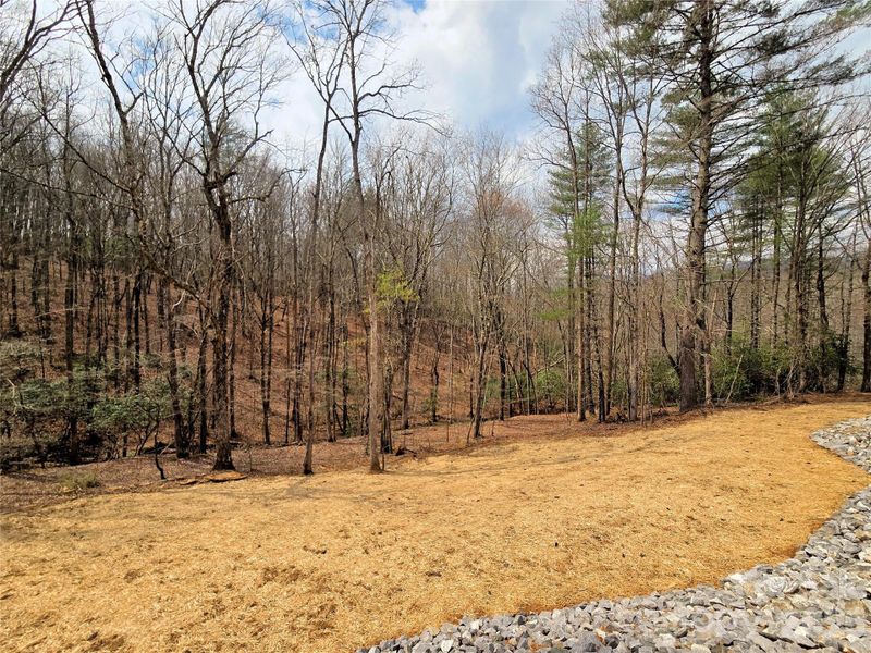 Natural landscape and outdoor views near  in Murphy (Image 34).