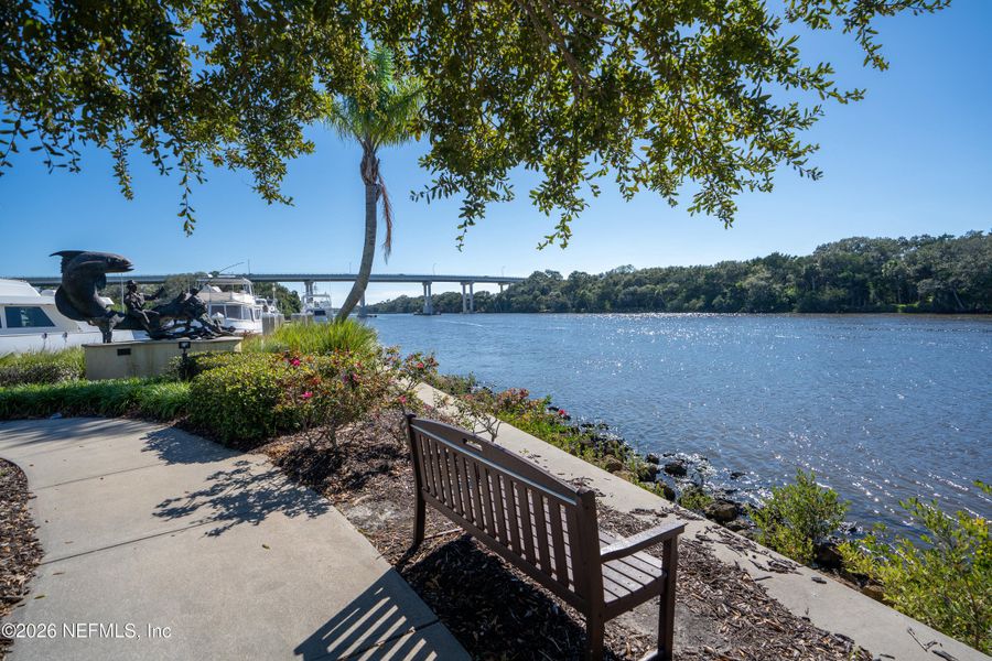 Natural landscape and outdoor views near  in Palm Coast (Image 42).