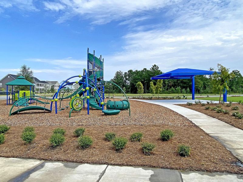 Community amenities in Carnes Crossroads, Summerville (Image 48).