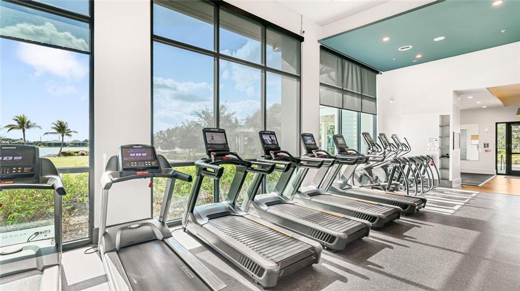 Community amenities in , Sarasota (Image 27). Community amenities in , Sarasota (Image 27).