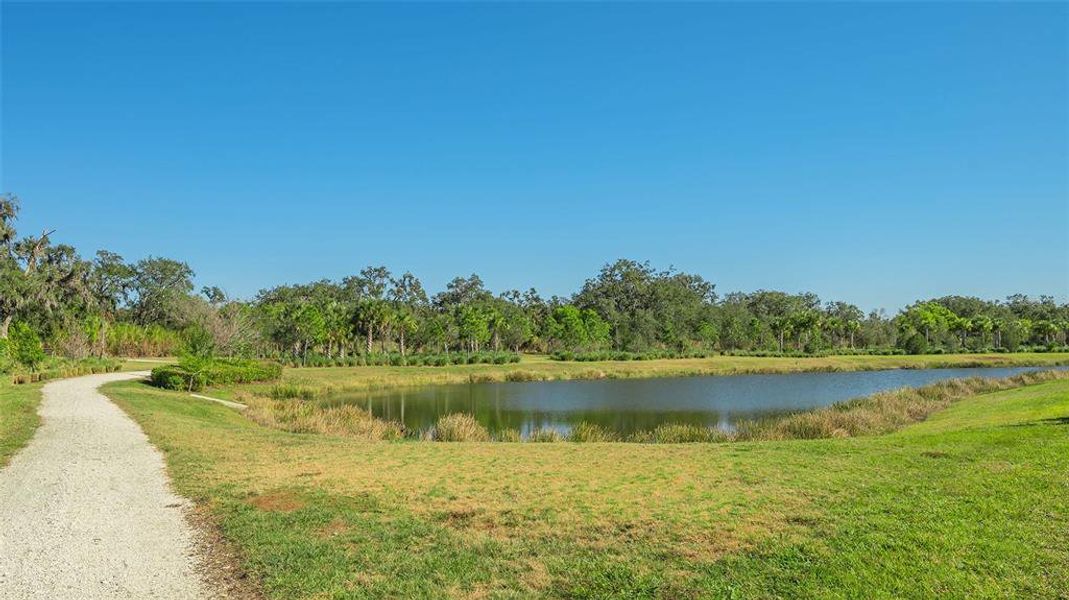Natural landscape and outdoor views near  in Sarasota (Image 85).