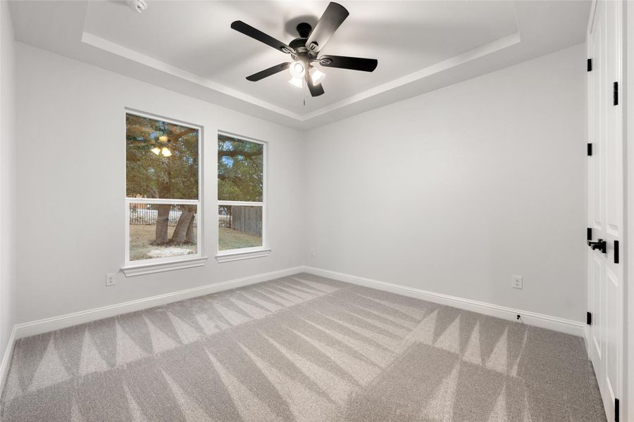 Unfurnished room #4 featuring a tray ceiling, a ceiling fan, and light colored carpet