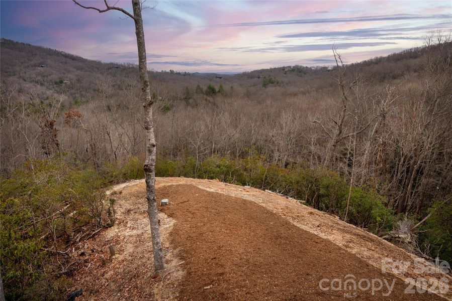Natural landscape and outdoor views near  in Pisgah Forest (Image 42).