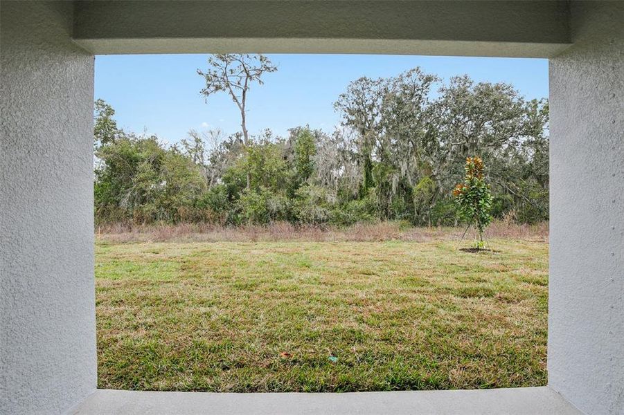 Exterior details and patio area of a home in Berry Bay, Wimauma (Image 22). Exterior details and patio area of a home in Berry Bay, Wimauma (Image 22).