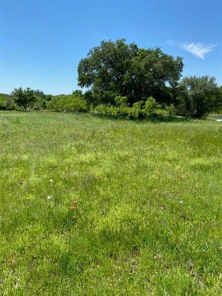 Natural landscape and outdoor views near in Springtown (Image 21). Natural landscape and outdoor views near in Springtown (Image 21).
