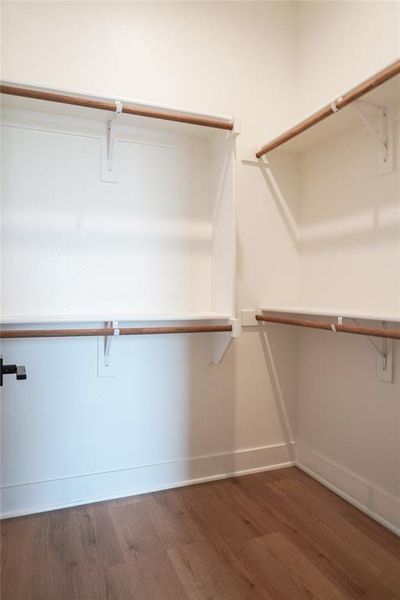 Walk in closet featuring dark wood-type flooring