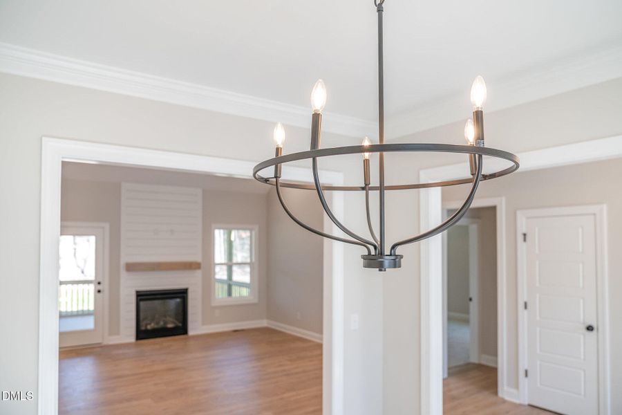 014_wag04180-edit_536 014_wag04180-edit_536