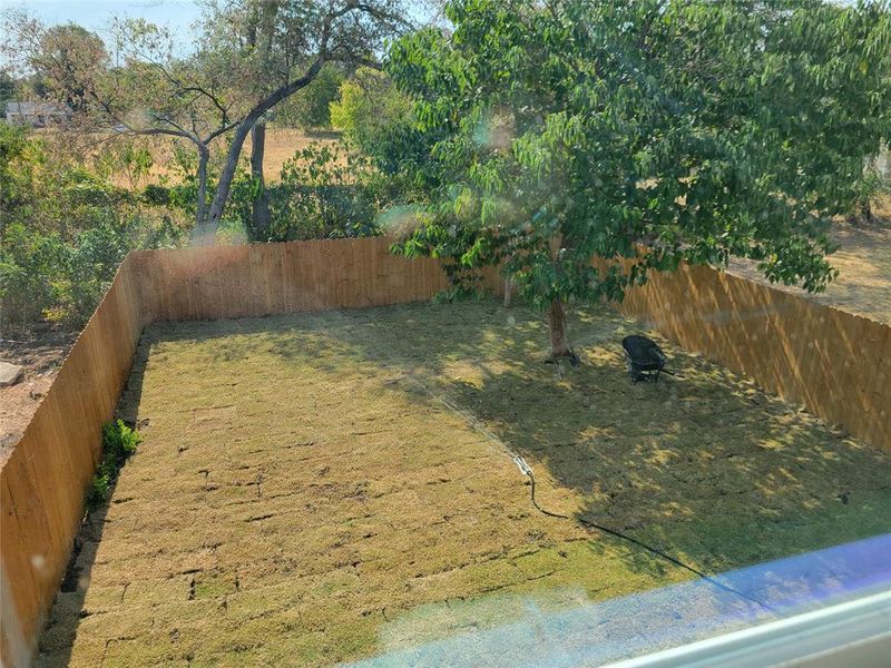 View of fenced backyard