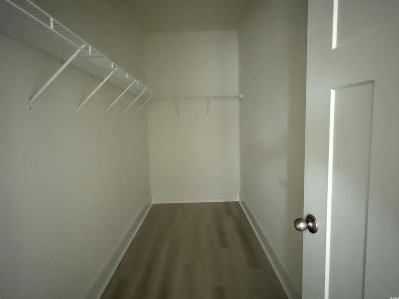 Spacious closet featuring dark wood-style floors
