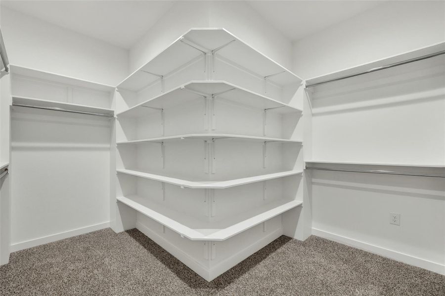 Spacious closet with light carpet