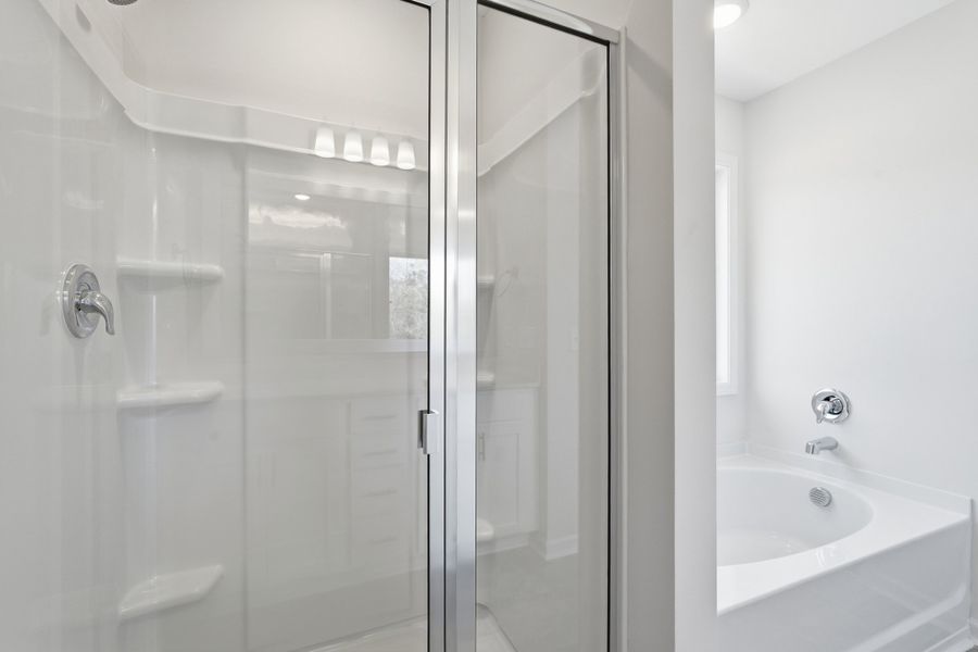 Representative interior finishes for a home built from the The Stacy by RTS Homes in Grand Reserve, Hinesville (Image 13). Representative interior finishes for a home built from the The Stacy by RTS Homes in Grand Reserve, Hinesville (Image 13).