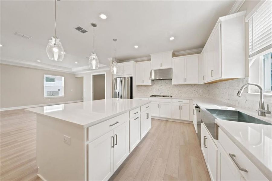 Furnished interior view inside a new home in Coasterra Community Group Page, Palmetto (Image 9).