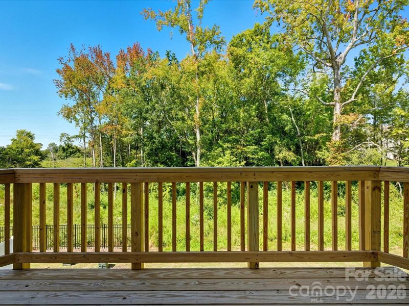 Exterior details and patio area of a home in The Landings at Catawba River, Charlotte (Image 29).
