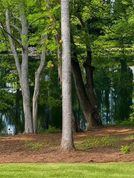 Natural landscape and outdoor views near  in Lawrenceville (Image 18).
