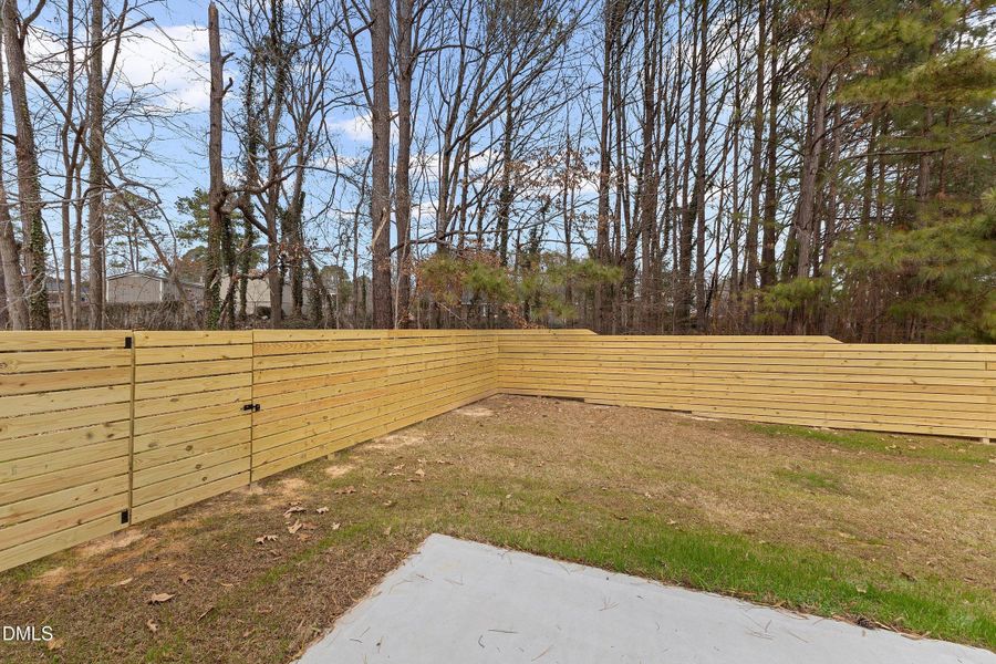 125 Davis - Backyard Only _1575