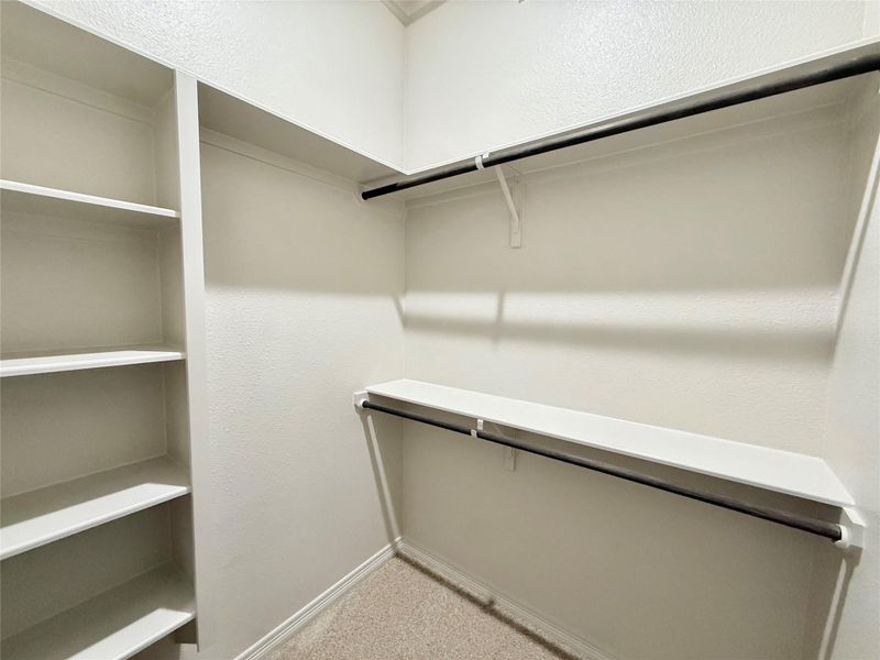 Spacious closet featuring light carpet