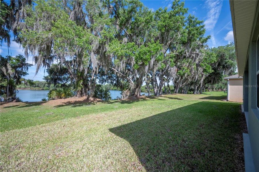 Natural landscape and outdoor views near  in Mulberry (Image 46).
