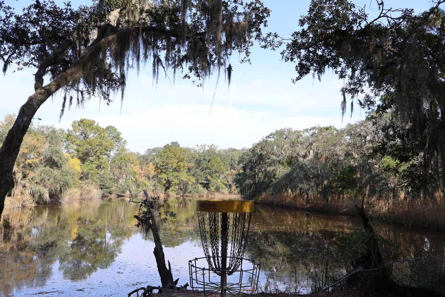 Natural landscape and outdoor views near Discover Series in Charleston (Image 14).