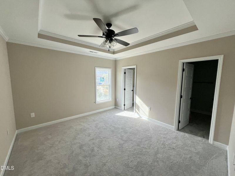 IMG_6577 2 IMG_6577 2