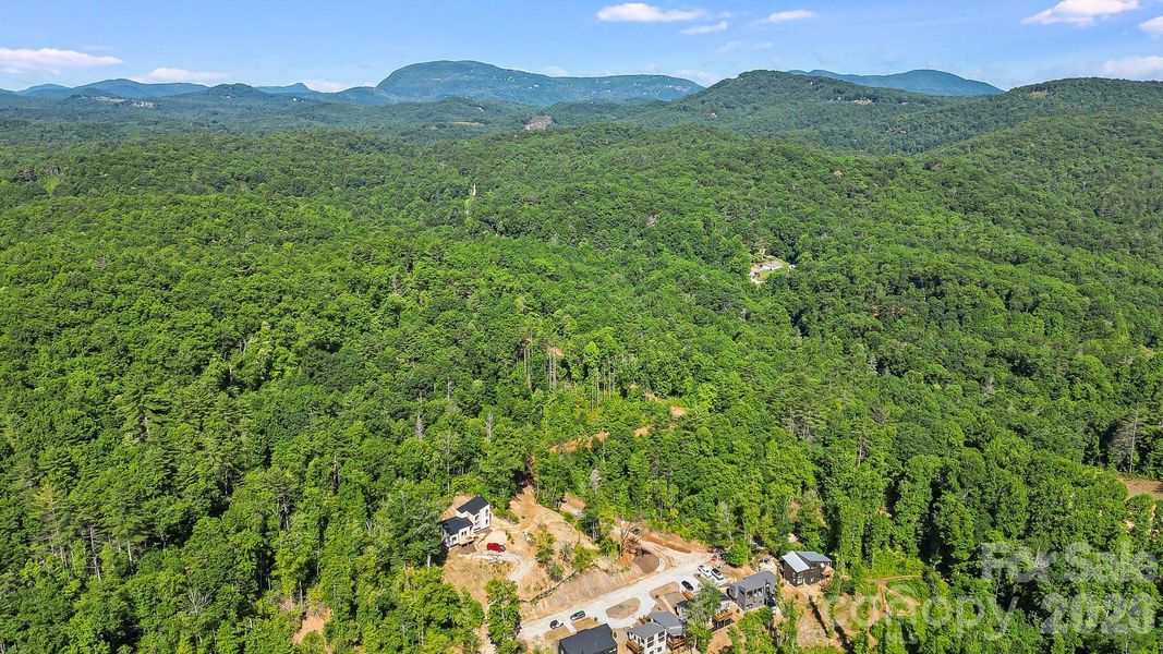 Natural landscape and outdoor views near  in Lake Toxaway (Image 28).