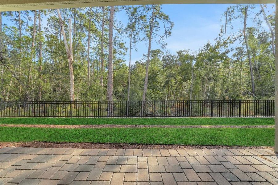 Exterior details and patio area of a home in Palms at Windermere, Windermere (Image 3). Exterior details and patio area of a home in Palms at Windermere, Windermere (Image 3).