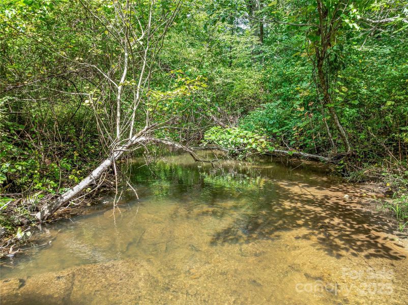 Natural landscape and outdoor views near  in Arden (Image 6).