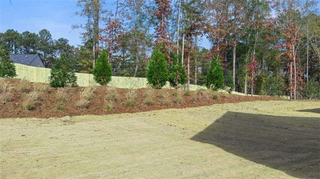 Natural landscape and outdoor views near in Winder (Image 30). Natural landscape and outdoor views near in Winder (Image 30).