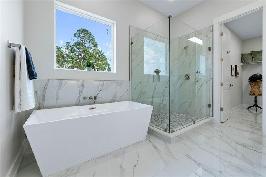 Master Bath- Tub & Shower