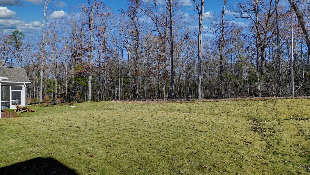 Natural landscape and outdoor views near Cross Creek in Lexington (Image 32).