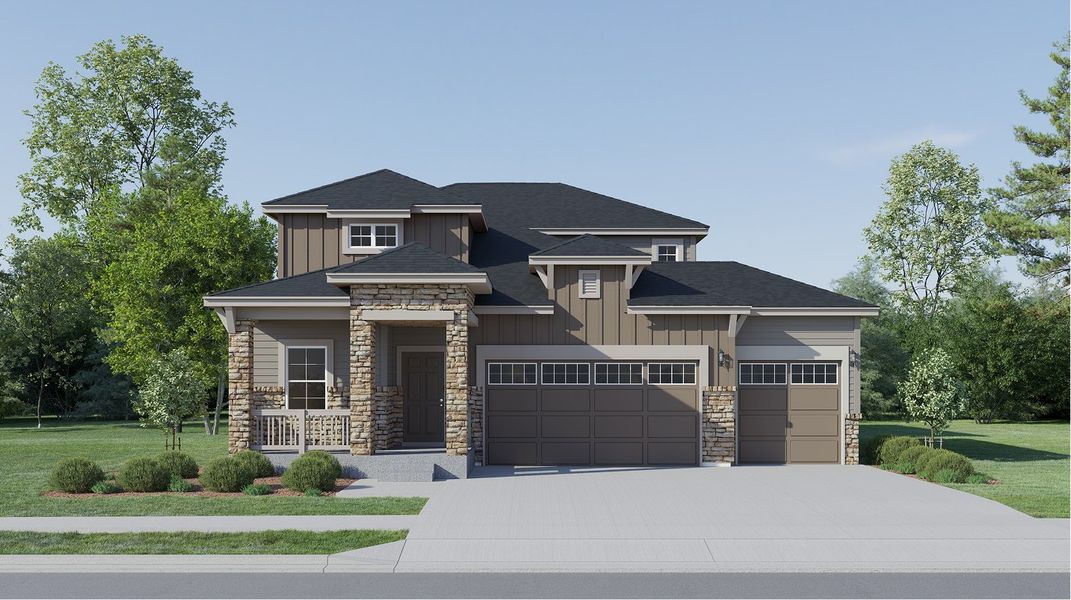 3504 Petal Spring Valley Ranch Orchid High Country HC