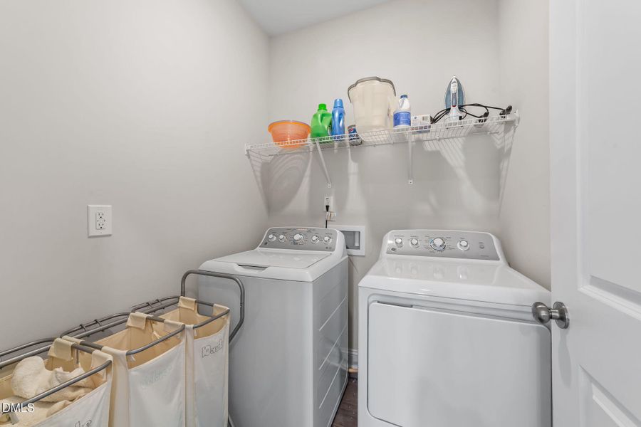 50-web-or-mls-VB4A0673