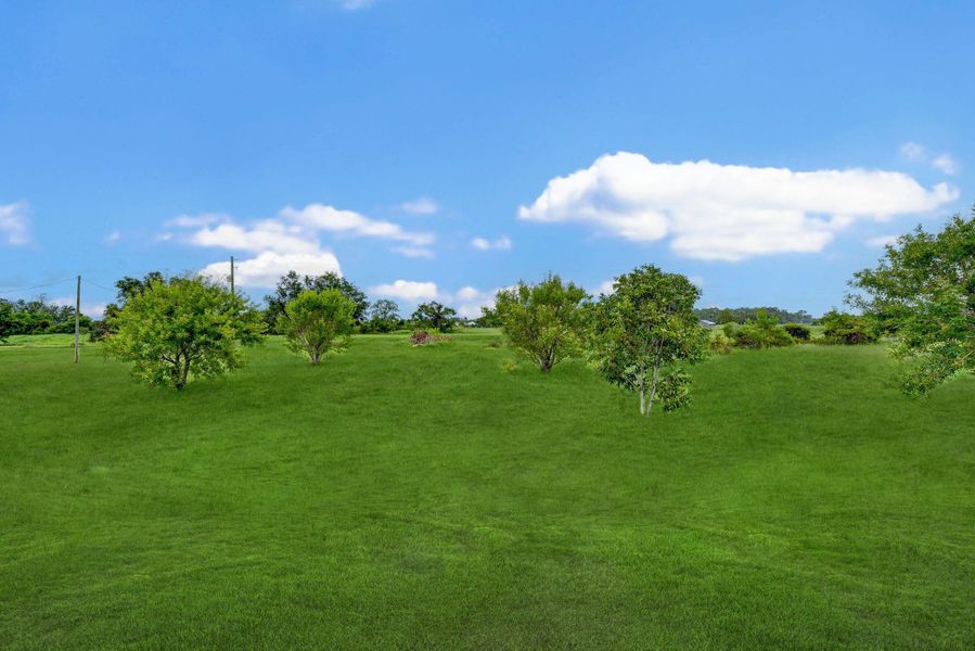 Natural landscape and outdoor views near  in Santa Fe (Image 37).