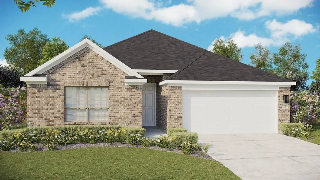 Elevation M Elevation M