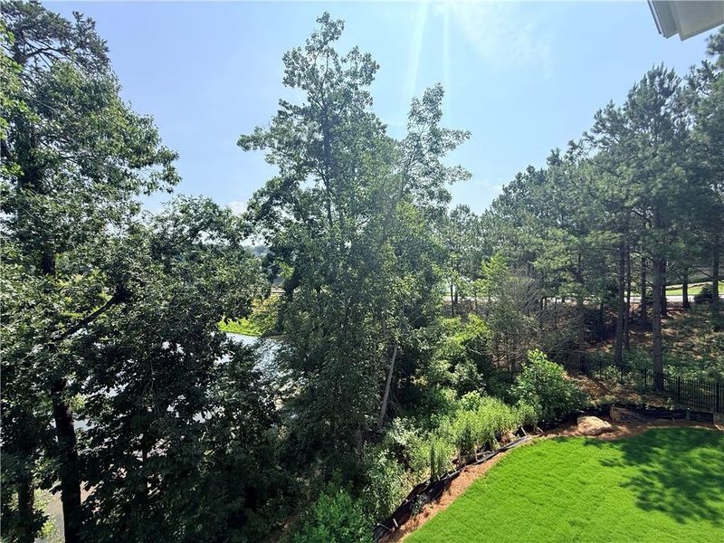 Natural landscape and outdoor views near  in Flowery Branch (Image 47).