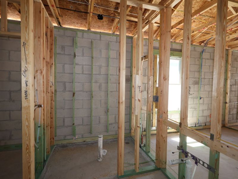Framing Framing