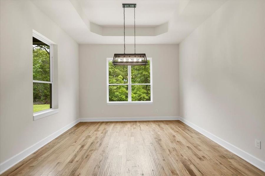 Spacious, unfurnished interior of a new home in , Mineola (Image 26).