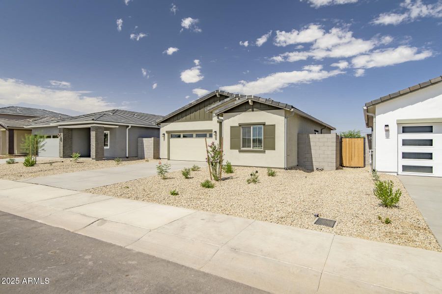 Southwest_Ash_007 Southwest_Ash_007