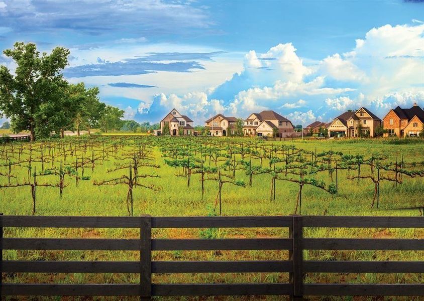 Community amenities in Harvest Green, Richmond (Image 5).